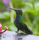 DSC_7613b.jpg