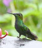 DSC_7616b.jpg