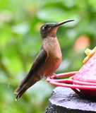 DSC_7661b.jpg