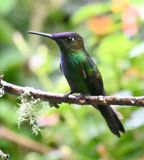 DSC_7678b.jpg