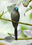 DSC_7688b.jpg