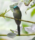 DSC_7689b.jpg