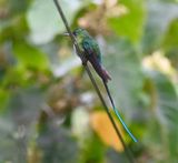 DSC_7692b.jpg