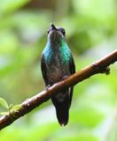 DSC_7736b.jpg