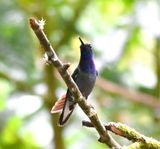 DSC_7774b.jpg