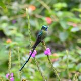 DSC_7798b.jpg
