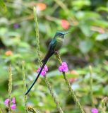 DSC_7799b.jpg