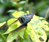DSC_7835b.jpg