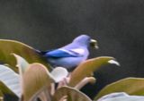 DSC_7876b.jpg