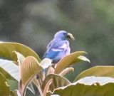 DSC_7900b.jpg