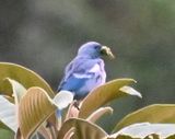 DSC_7901b.jpg