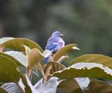DSC_7905b.jpg