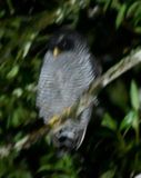 DSC_7925b.jpg