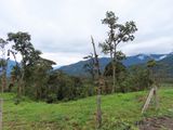 IMG_6203b.jpg