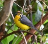DSC_8121b.jpg