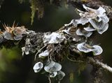 DSC_8141b.jpg