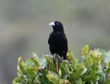 DSC_8149b.jpg