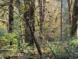 20241026_100042b.jpg