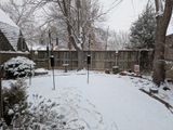 PXL_20250109_214919859.MP.jpg
