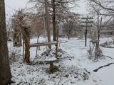 PXL_20250109_214952791.MP.jpg