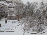 PXL_20250109_215055581.MP.jpg