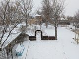 PXL_20250109_215212938.MP.jpg