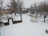 PXL_20250109_215216176.MP.jpg