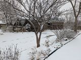 PXL_20250109_215814343.MP.jpg