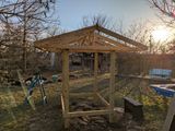 PXL_20250209_231255108.MP.jpg