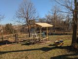 PXL_20250225_223001856.MP.jpg