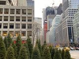 pic122622 (9)_InPixio.jpg