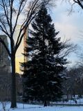 IMG_6250.JPG