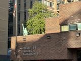 IMG_6232.JPG