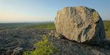 DSC03990 - Black Mountain Boulder II!