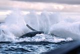 DSC04110 - Splashdown