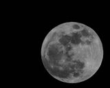 DSC08763 - Full micro moon