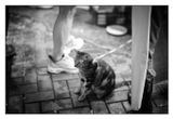 IMG_2334.jpeg