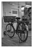 IMG_2355.jpeg