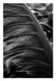 IMG_2963.jpeg