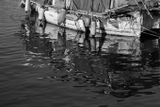 IMG_5435.jpeg