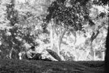 IMG_8607.jpeg