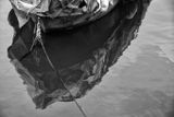IMG_5331.jpeg