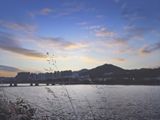 IMG_20241004_180013cs.jpg