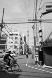 DSC_3797s.jpg