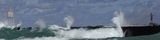 One, Brave/Dumb Surfer (on the right)