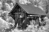 Garden Shed P1120571 cd bw .jpg