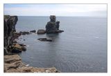 DSC02772_web.jpg