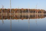 Dripping Springs Lake