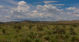 Cimarron County