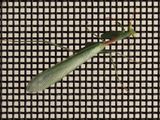 Praying Mantis